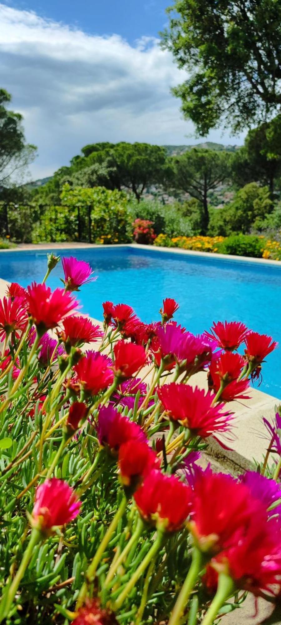 Villa Boheme Costa Brava Calonge  Exterior foto
